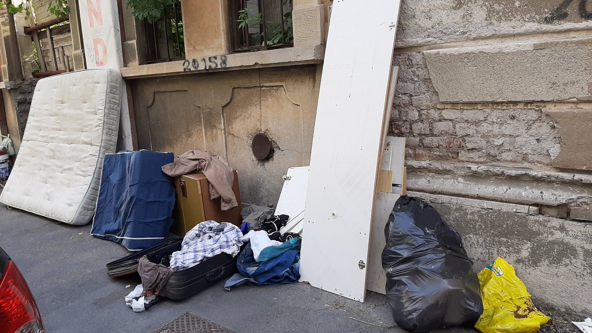 Cristina Turoli tweet media