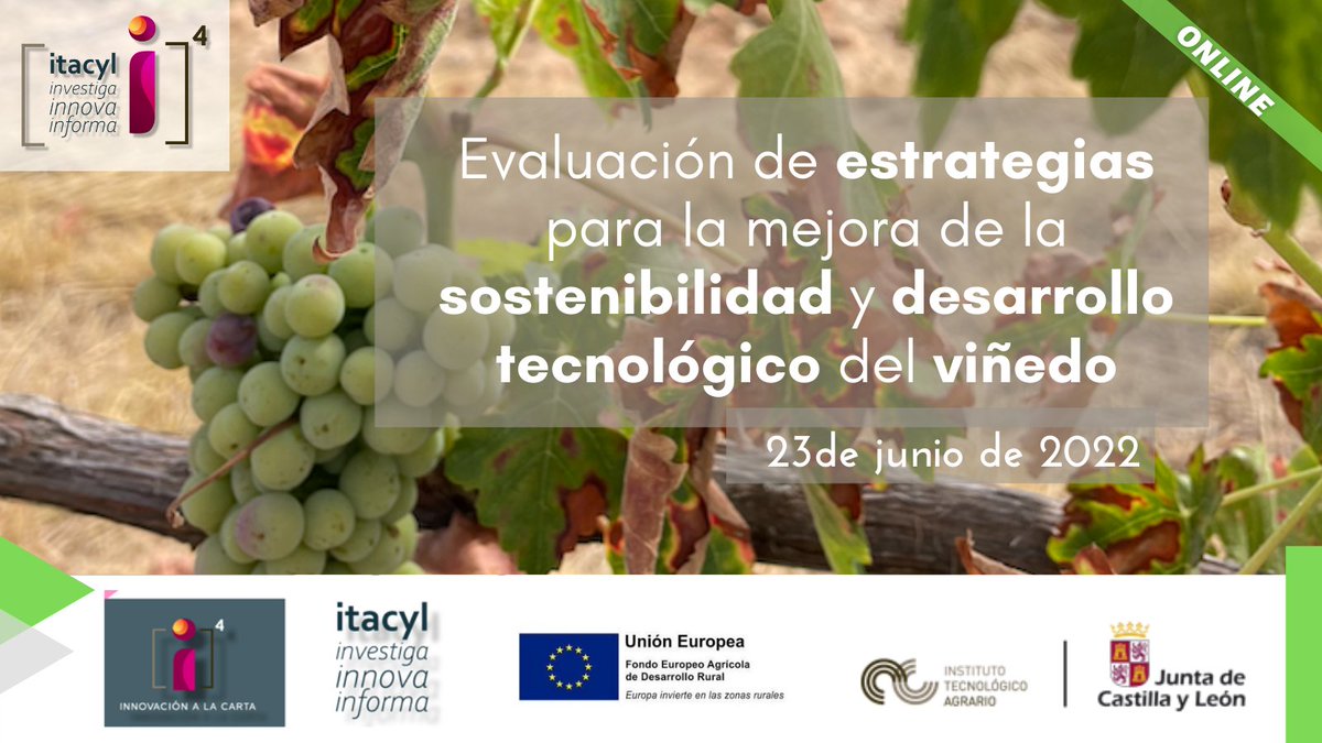ITACYL's tweet photo. 📢ÚLTIMA LLAMADA📢
Sostenibilidad y desarrollo tecnológico del viñedo: jornada online en torno al proyecto @visostec #FEADER

📅23 junio 
✍https://t.co/ueQc40UEuA️  

#ITACyL #innovaciónALaCarta #i4 https://t.co/dXvXh1VVmO