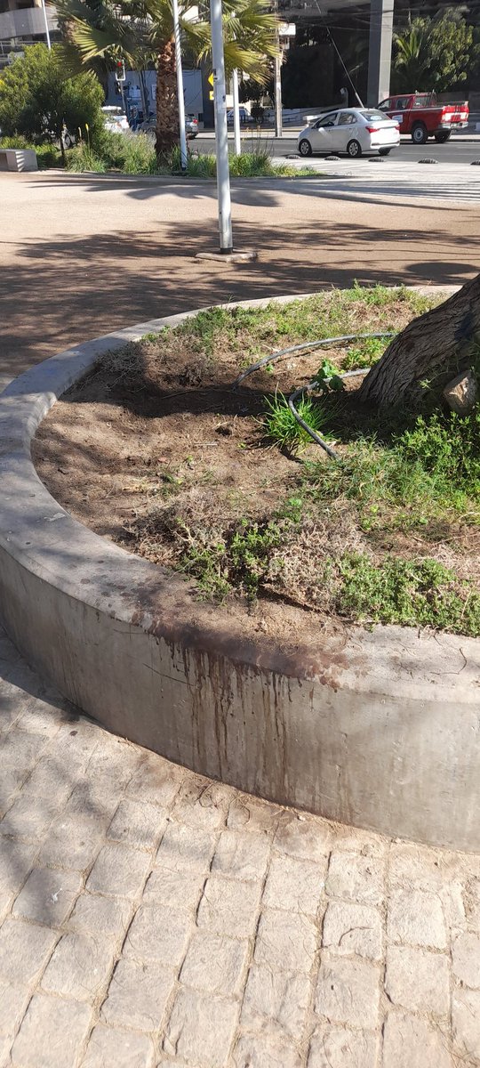lorececilia's tweet photo. Parque avenida Brasil en abandono sus áreas verdes.  Y la mesa de pin-pon oxidada, inutilizable. @jonathanplan9,  #Antofagasta https://t.co/IraBAjTpjd