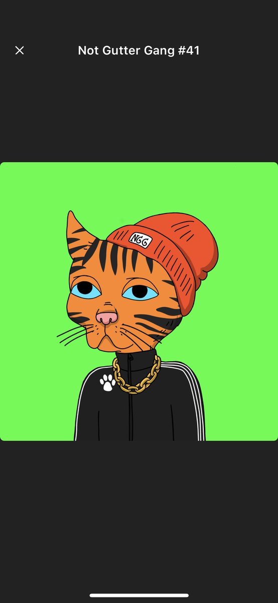ksalvucci2022's tweet photo. @NotGutterGang LFG NGG…..mint mint mint great team incredible art u can’t loosen https://t.co/T47spmKdRw