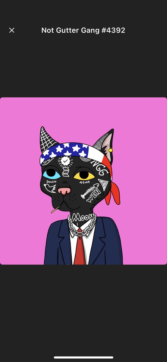ksalvucci2022's tweet photo. @NotGutterGang LFG NGG…..mint mint mint great team incredible art u can’t loosen https://t.co/T47spmKdRw