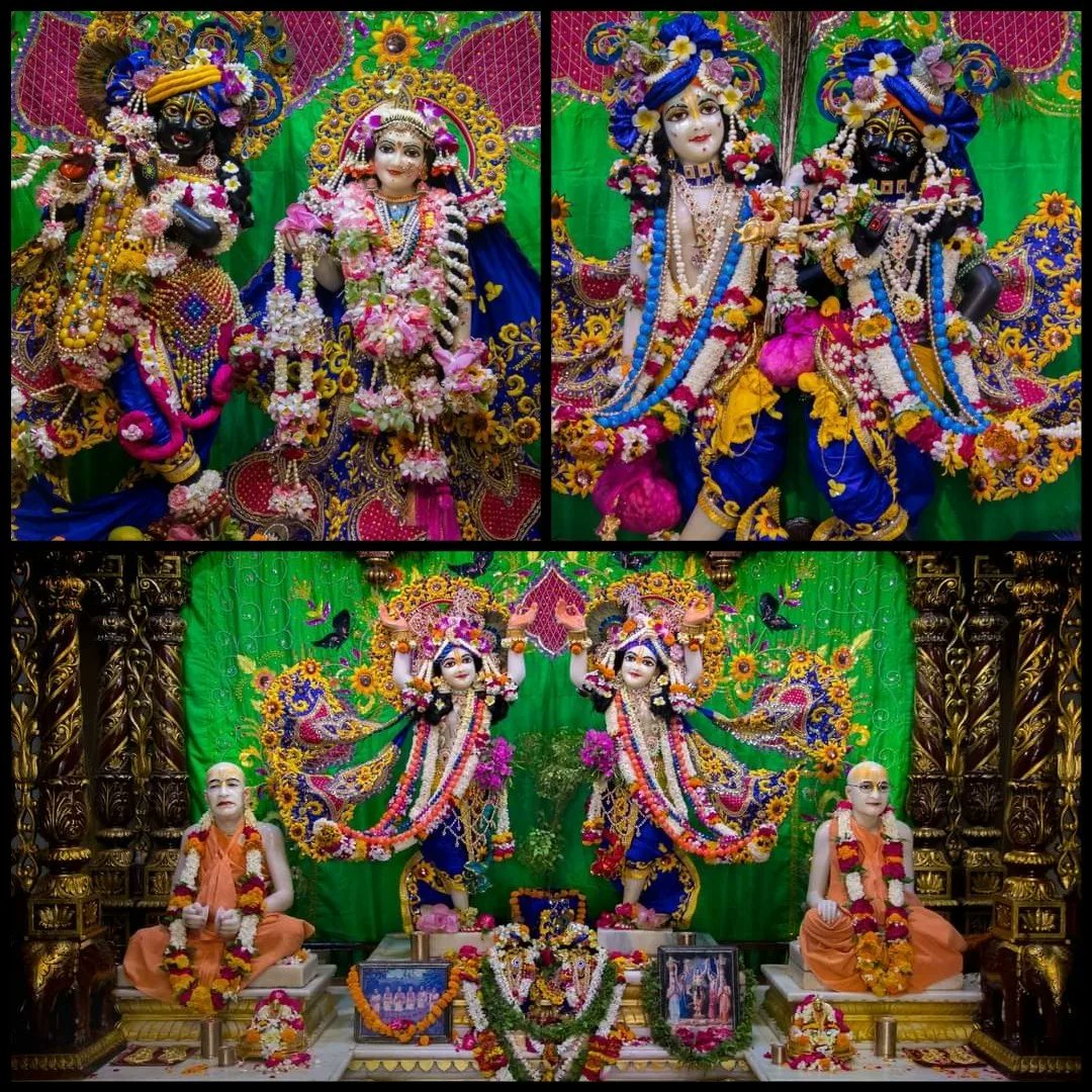 vrajaviharinis's tweet photo. 🤩😍DAILY DARSHAN😍🤩
(Iskcon Vrindavan)
(Iskcon Mayapur)
(Iskcon Pune)
(Iskcon Kolkata)
#lordkrishna #srimatiradharani #panchatatwa #jaijaganathdev #jaisubhadramaharani #jaibalaramdev #dailydarshan #auspicious #beauty #jaigaurnitai #jaigirirajbhagvan #jaisrinrishangadev #Iskcon https://t.co/hI6c2hRAXm
