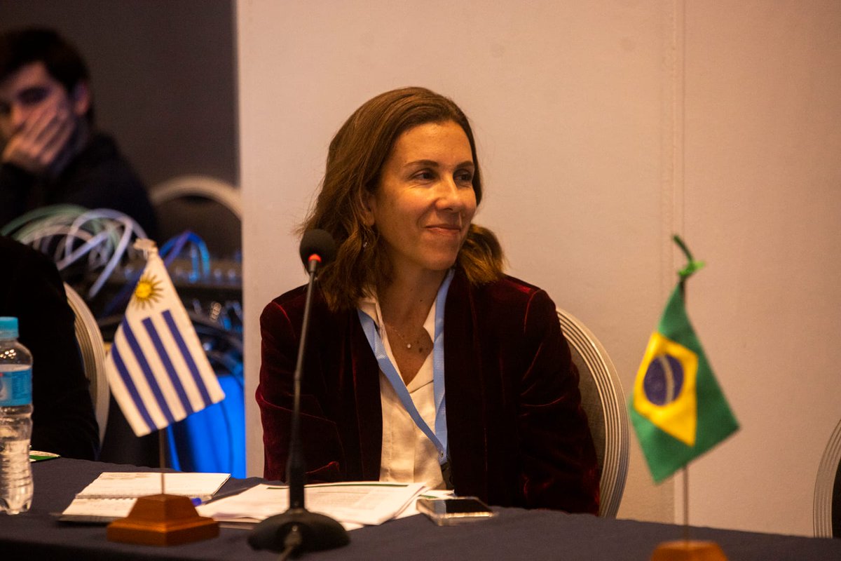 MinPublicoPy's tweet photo. Durante las Reuniones Preparatorias se destaca la participación de las delegaciones de Argentina, Brasil, Bolivia, Colombia, Chile, Ecuador, Guyana, Perú, y Uruguay #REMPM https://t.co/NFuLa8gq9w