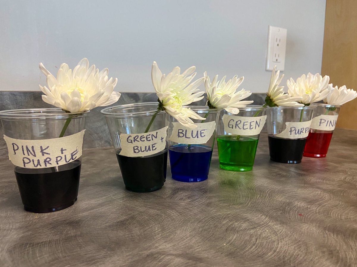 Kaity Schaab tweet media