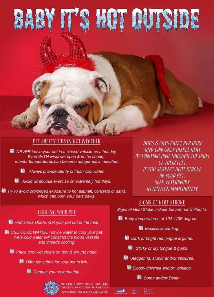 MillynGeorge (@millyngeorge) on Twitter photo 