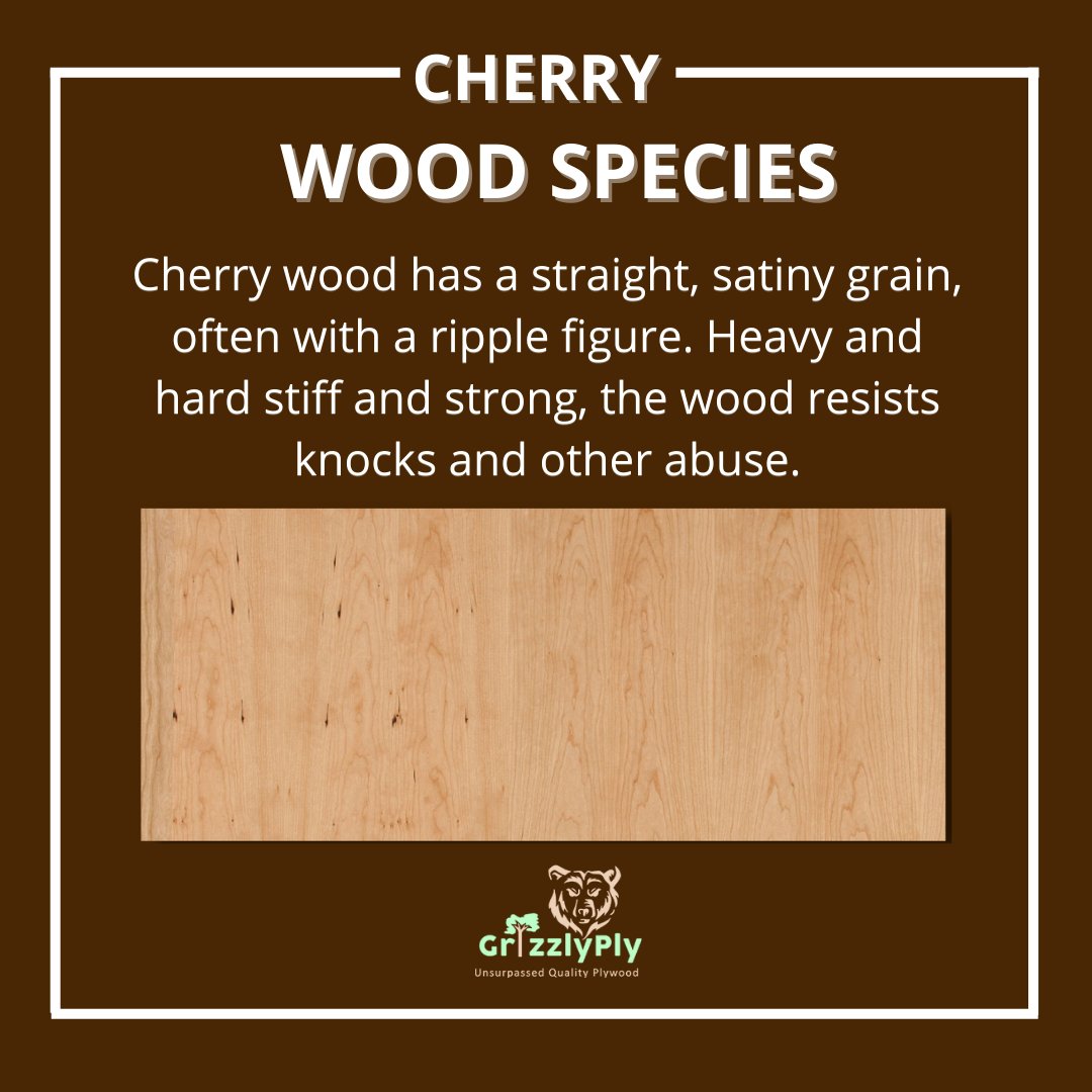 Wood Species - Cherry
#grizzlyply #Wood #woodspecies