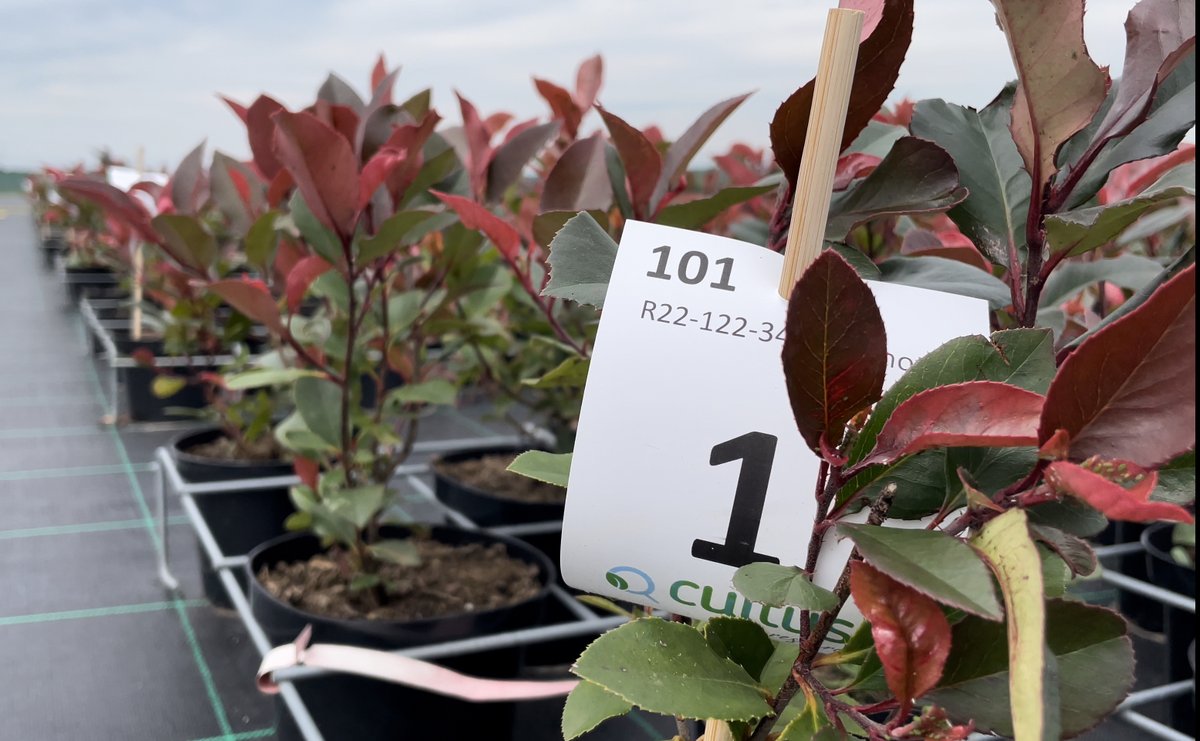 Wat een voorrecht! Top weer ☀️  en een prachtige opkomst tijdens de 1e <a href="/Agrocultuur/">Vitelia Agrocultuur</a> #boomkwekerij #kennisdag van 2022 in 
regio Lottum!

Save the date: 
Kennisdag regio Boskoop » 21 sep.
Check onze website voor meer info:
vitelia-agrocultuur.nl

Dank aan gastheer <a href="/Cultusresearch/">Cultus Crop Research</a>