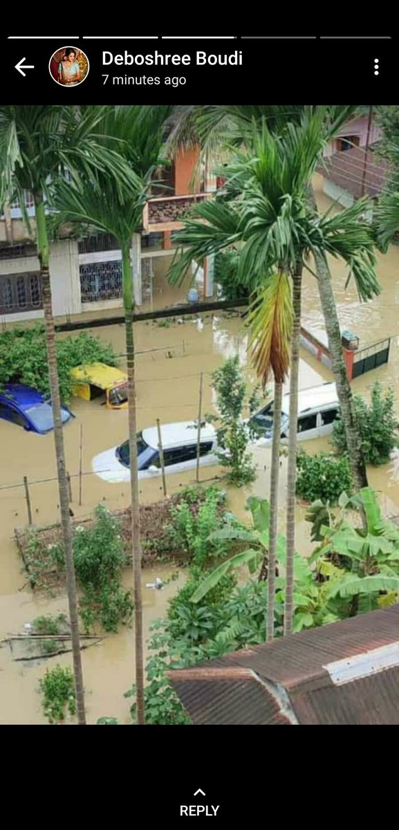 AninditaK12's tweet photo. My hometown is drowning. Silchar is a town in assam where the water level is *neck drowning* unlike knee drowning in Bangalore. Assam needs the help and prayer. Spread the word as media isn't doing its job as usual. #AssamFloods2022 https://t.co/uWVCmPB1if
