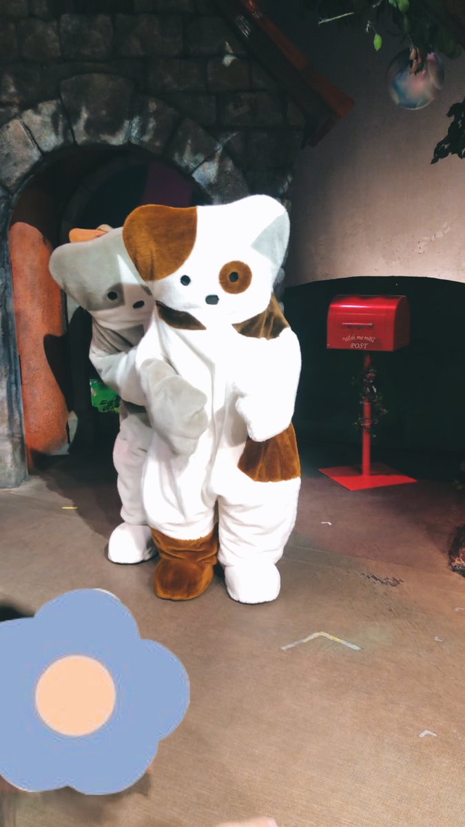 robadarobaokure's tweet photo. 【2022.06.21】スペシャルグリーティング in フェアリーランドシアター

#ノラネコランド #noranekoland #野猫乐园 #노라네코랜드 https://t.co/TWuJN1riCJ