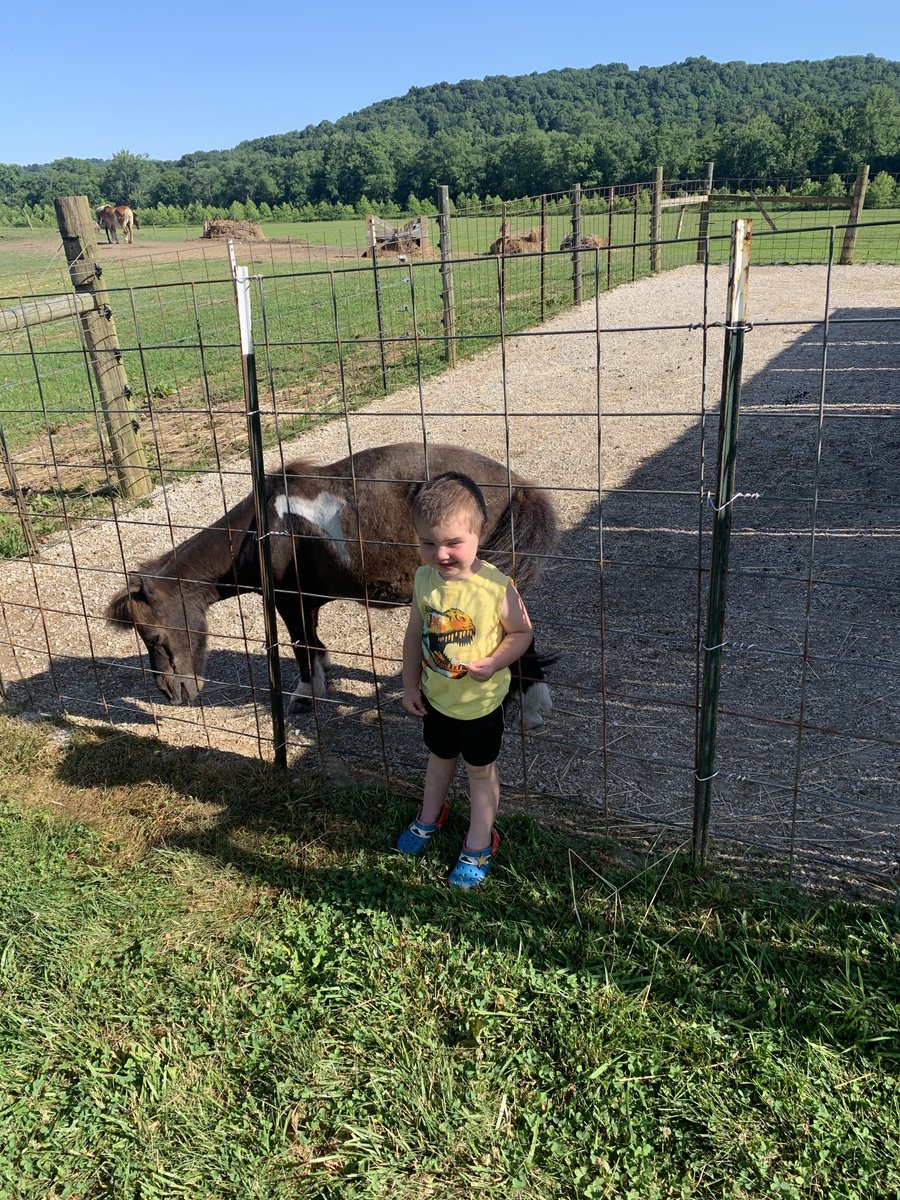 b_ballb's tweet photo. Family vacation ⁦@FrenchLick⁩ https://t.co/dorfqhbBA9