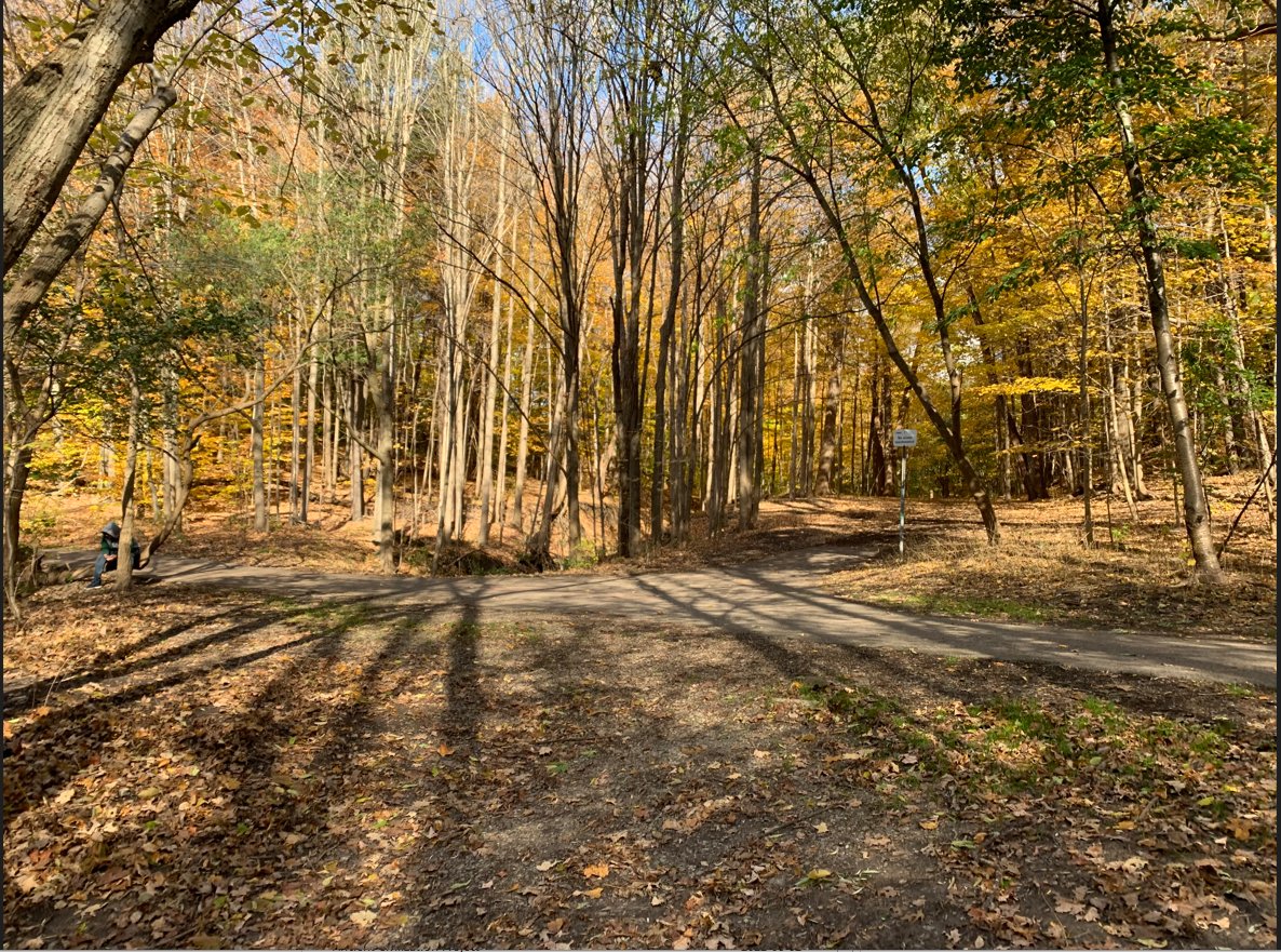 VPCI Takes Learning Outside!! 
We went to the neighbourhood forest to write sentences in French. Application of verbs. New vocab. Lots of Rire and there was an écureuil!  #VPCIGoodNews #Community #OutdoorLearning