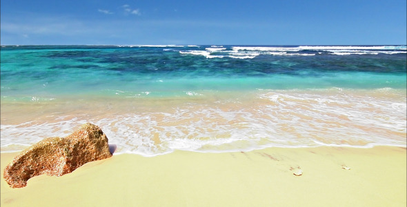 Stylelib_Themes's tweet photo. Ocean Beach
https://t.co/2JwopGKlyN
#bay #beach #blue #clouds #coast #lagoon #nature #ocean #sand #sea #sky #spc01 #stockfootage #sun #tropical #turquoise #videohive #water #waves https://t.co/fxLT50z0L4