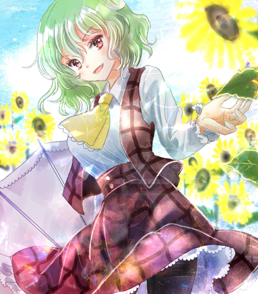 kazami yuuka 1girl solo umbrella green hair ascot skirt flower  illustration images