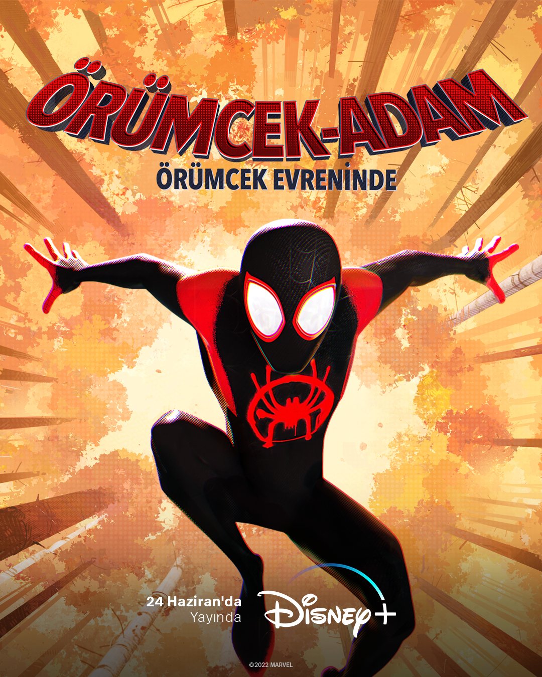 Disney+ Türkiye on Twitter: "Sürekli ağ ören kader 🫱🏻‍🫲🏽 Örümcek-Adam