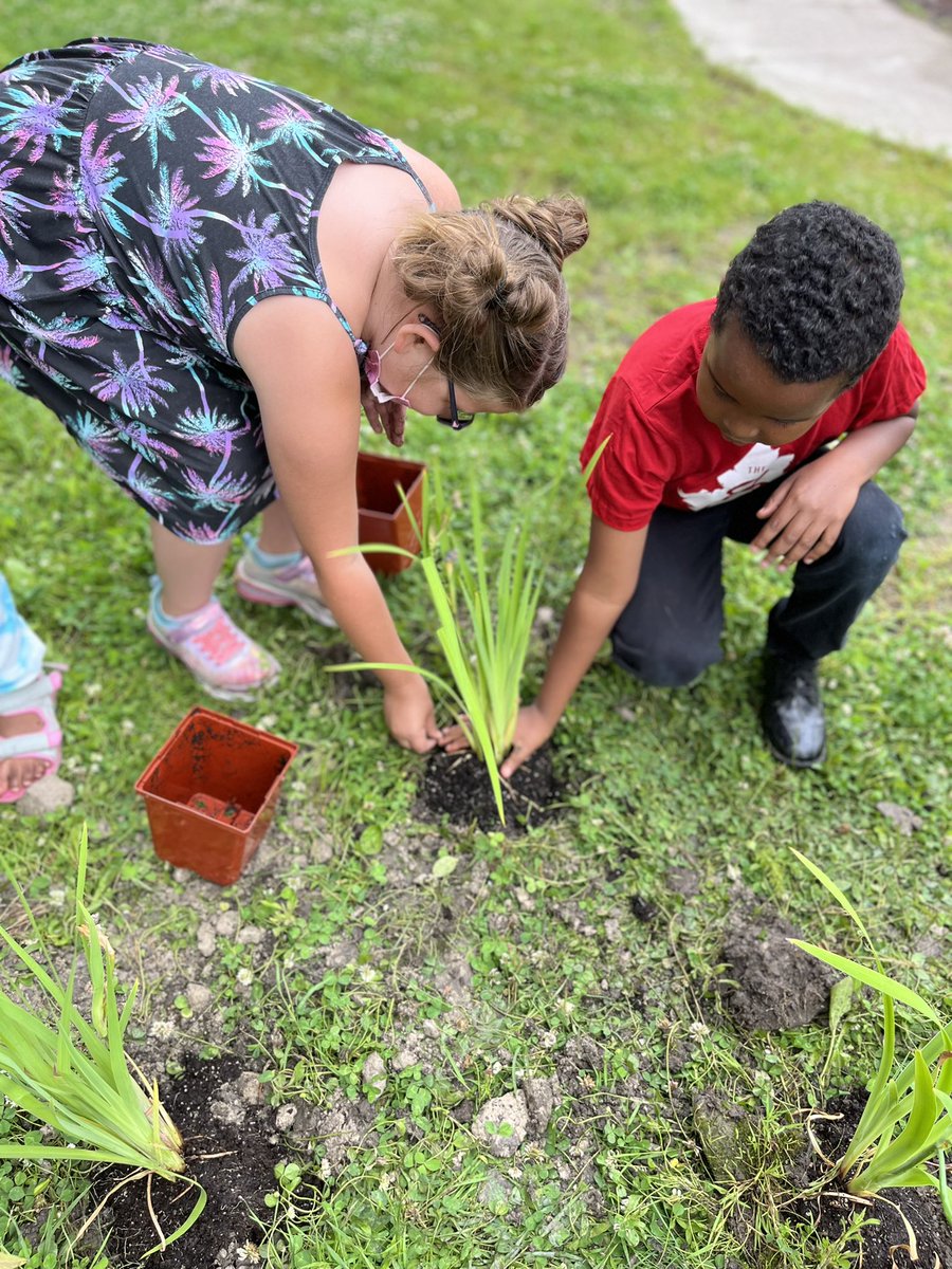 Yesterday we planted our class plant, the blue flag iris! Thank you <a href="/WanderingWalker/">Wandering Walker</a> for this.
