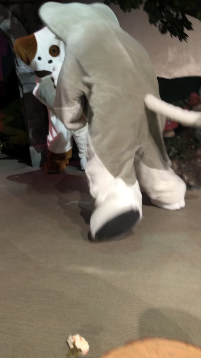 robadarobaokure's tweet photo. 【2022.06.21】スペシャルグリーティング in フェアリーランドシアター

個人的ツボった4枚😹

#ノラネコランド #noranekoland #野猫乐园 #노라네코랜드 https://t.co/jqnIgql0Tn