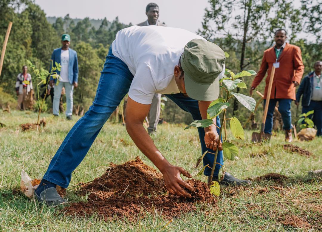 AbiyAhmedAli's tweet photo. As we launch the 4th year  #GreenLegacy season, I raise the 100 seedlings challenge to plant in this planting period. This morning i have planted 10 of the 100 challenge for the future generation. Join me! https://t.co/zQYwxHYRhN
