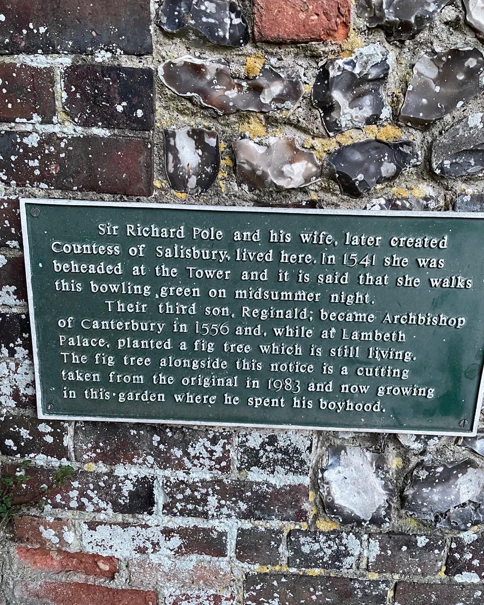 effervescesense tweet media