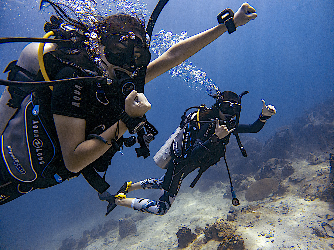 blackturtledive's tweet photo. Congratulations @PADI Open Water Divers on completion of the most popular diving course in the world🤙🌏Get Your PADI in 3 days with our 'e-learning' option and spend more time in the water learning skills and having fun🐢🙏
Book: https://t.co/CLfUtiZOlc

#scubadiving #adventure https://t.co/qhc6mBK368