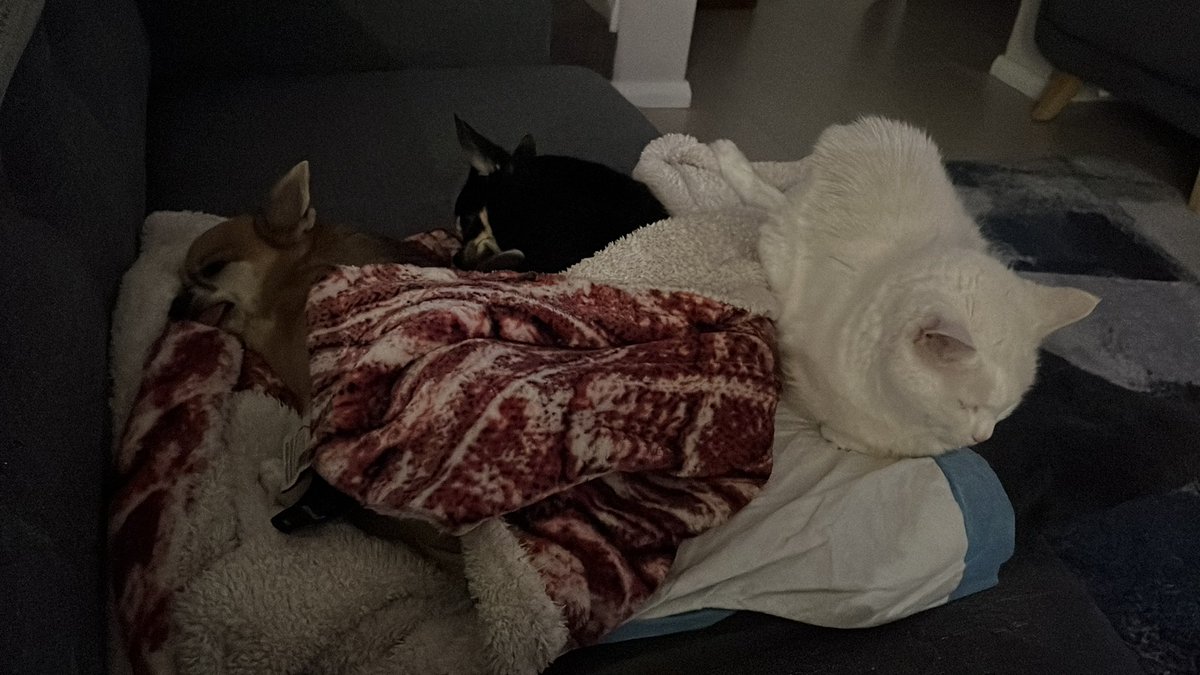 Dis Down Under tweet media