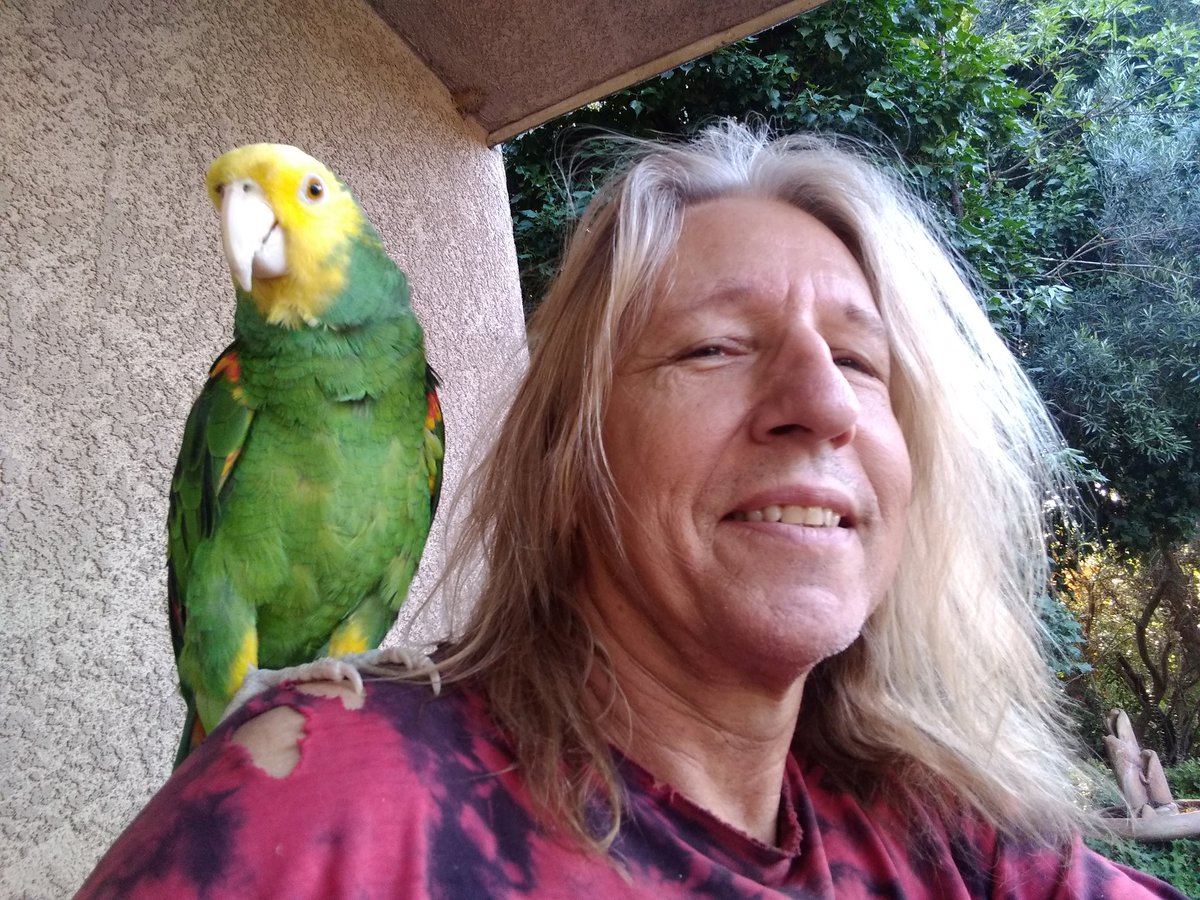 Brad Lang tweet media