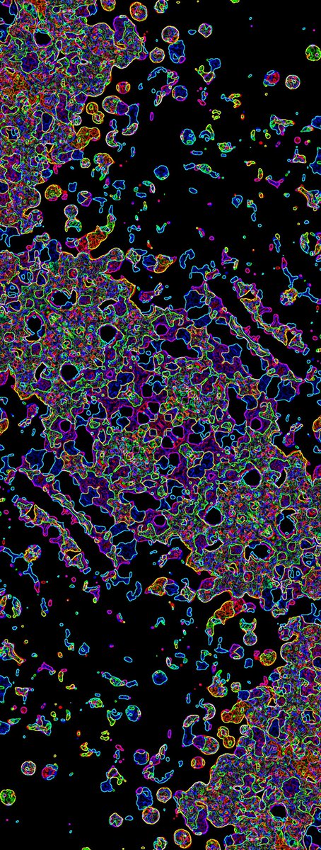 InkyClyde tweet media