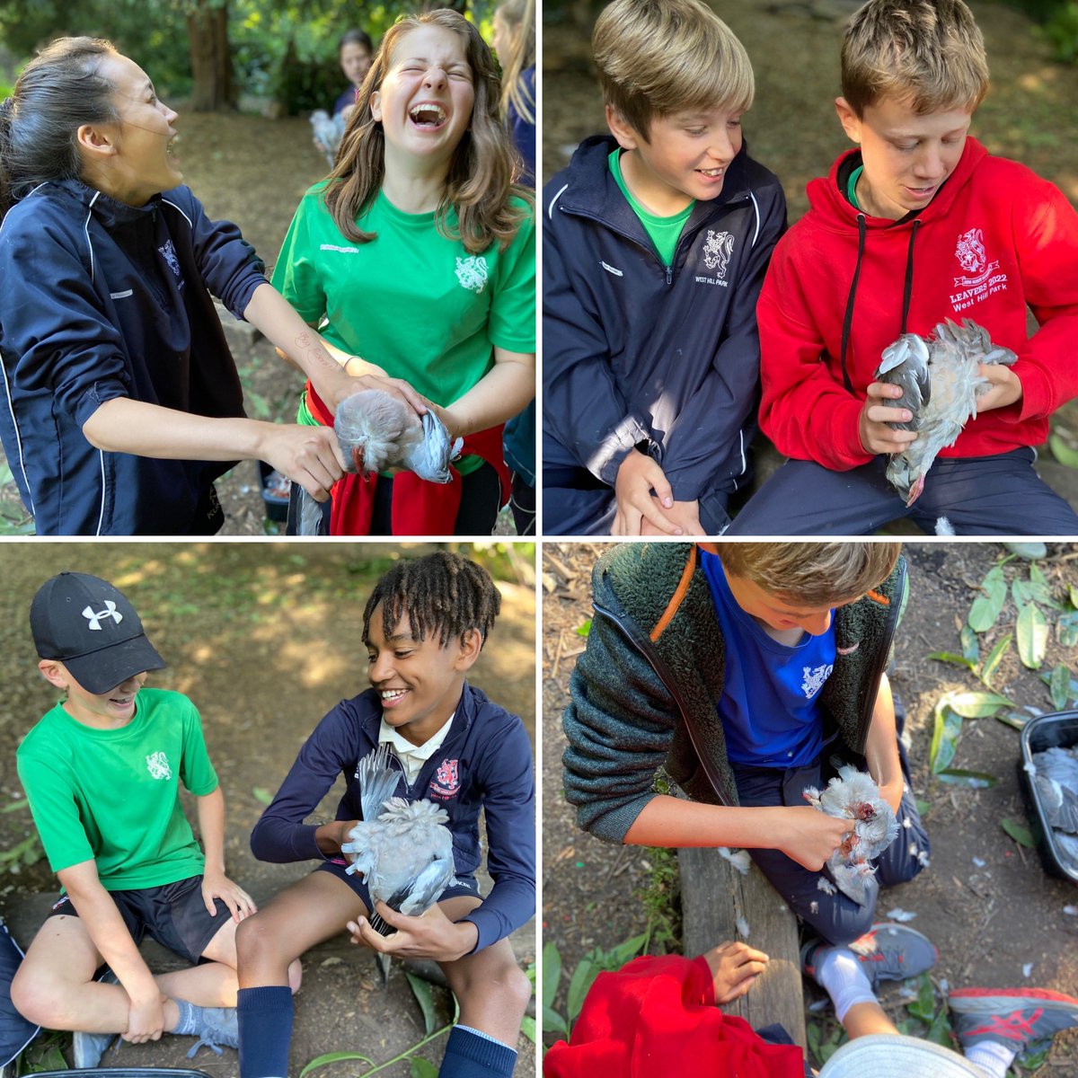 WHP | Outdoor Ed tweet media