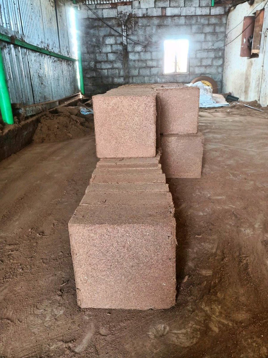 SMVEXPORTS's tweet photo. Washed Coco Peat 5Kg Blocks Low EC - Manufacturers, Wholesale Suppliers &amp; Exporters in Tamil Nadu, India.
#cocopeat #coirpith #cococoir #5kgblocks #manufacturers #suppliers #exporters https://t.co/vrVqt21uxP