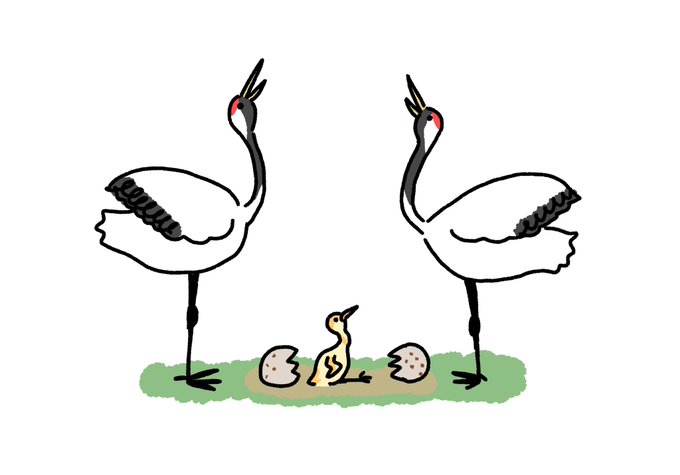 タンチョウのtwitterイラスト検索結果 タンチョウのtwitterイラスト検索結果