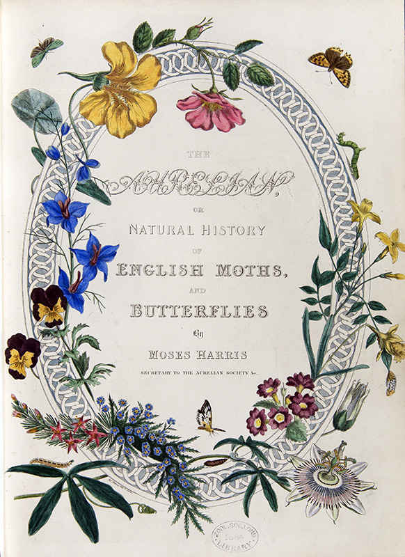 ZSLLibrary's tweet photo. #ThrowbackThursday to our #blog for a previous #InsectWeek highlighting a very special book 'The Aurelian' by Moses Harris: https://t.co/Qmofvt7rNJ #InsectWeek2022 #EntHist https://t.co/7akySKT9h1