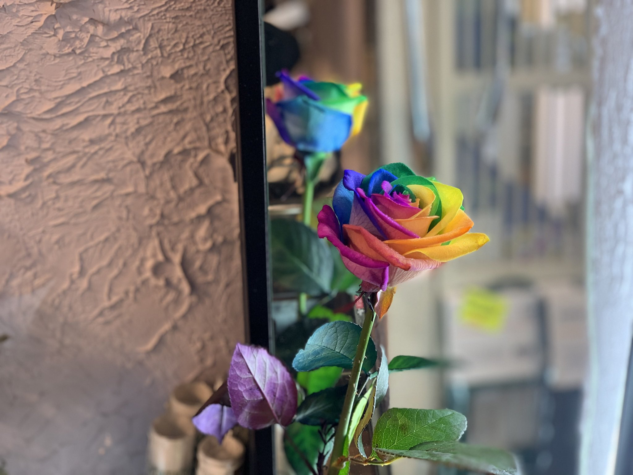 Rainbowrose Twitter Search Twitter