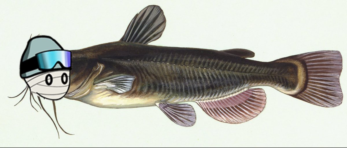 ghostface has too many catfish 😹😹<a href="/realgoken/">Goken 💀🐒</a> @not__zeo <a href="/SLcronus/">CR0NUS 🎒🎨</a>