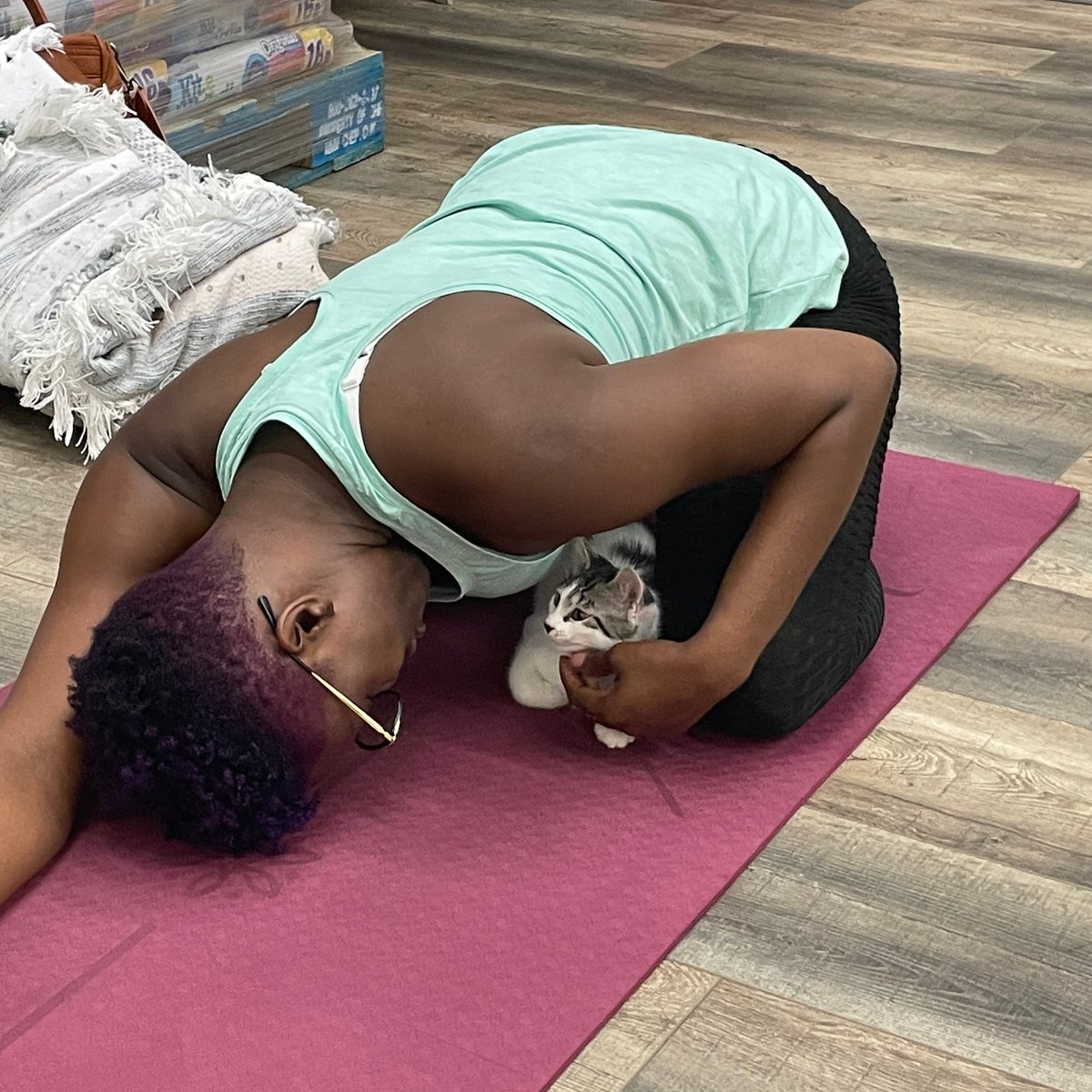 Happy International Yoga Day! 
Our adoptable kittens Tina and Jessie had so much fun at yesterdays Namastray Yoga session. Our yoga sessions held at our Community Center led by Liana Bryant of Rosemary Court Yoga are a super fun zen way to support Cat Depot. https://t.co/LJspXy9m80