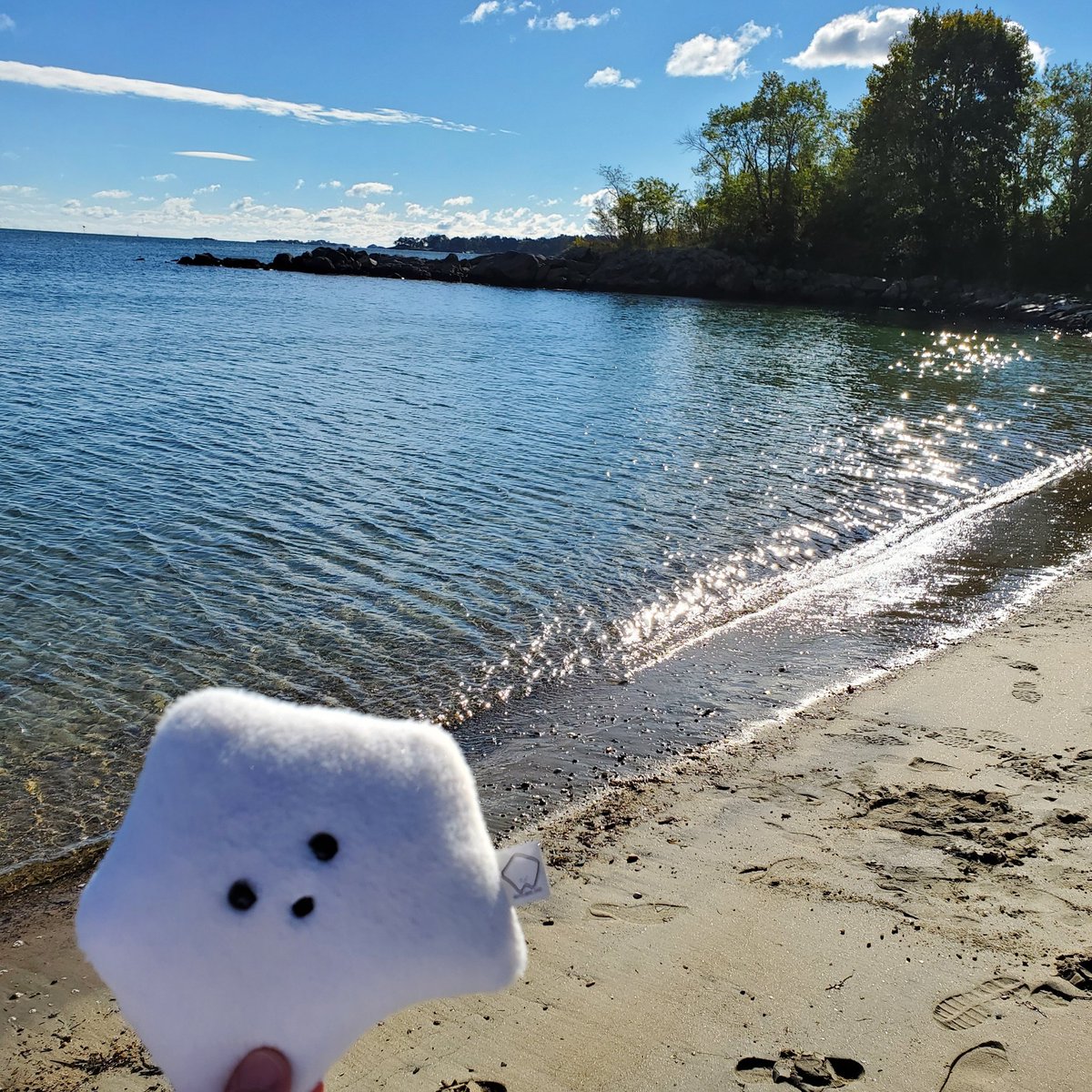 sucklet7's tweet photo. happy first day of summer. βοΈπ.
#sucklet. #summerlet. #beachlet. https://t.co/ryXGKl13TK