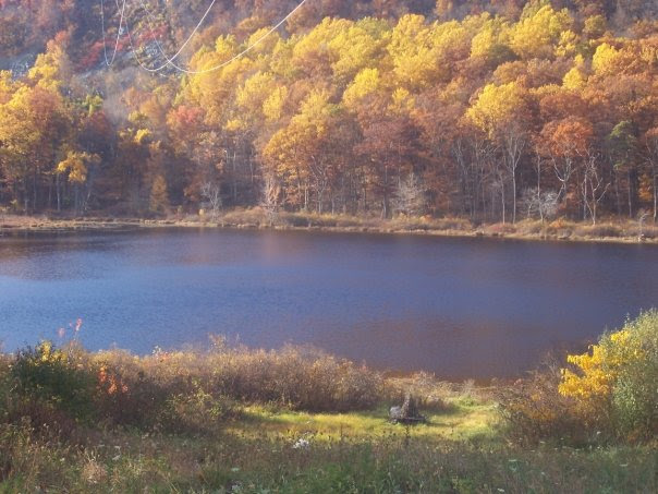 That one time I went to Camp Crystal Lake, they turned it into a boys scout camp an back in 2009 you