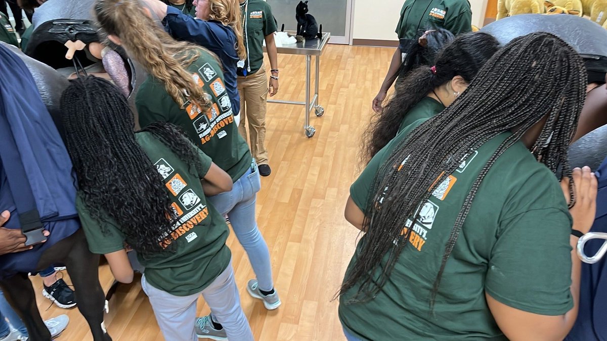 We are so happy to have @FAMU_1887 Ag Day back in-person! 18 summer campers joined us for a day of clinical skills, a #foodanimal lecture, an equine treadmill demo and tour of our facilities by DVM students. Cheers to continued collaboration with our sister #landgrantuniversity