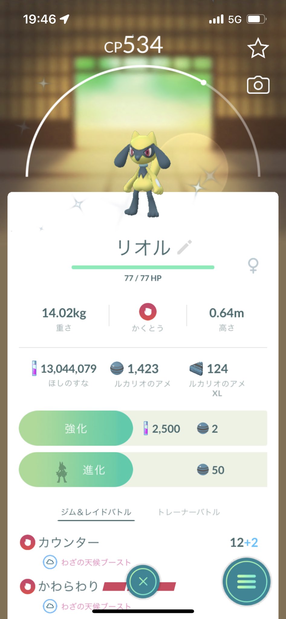 リオル色違い Twitter Search Twitter