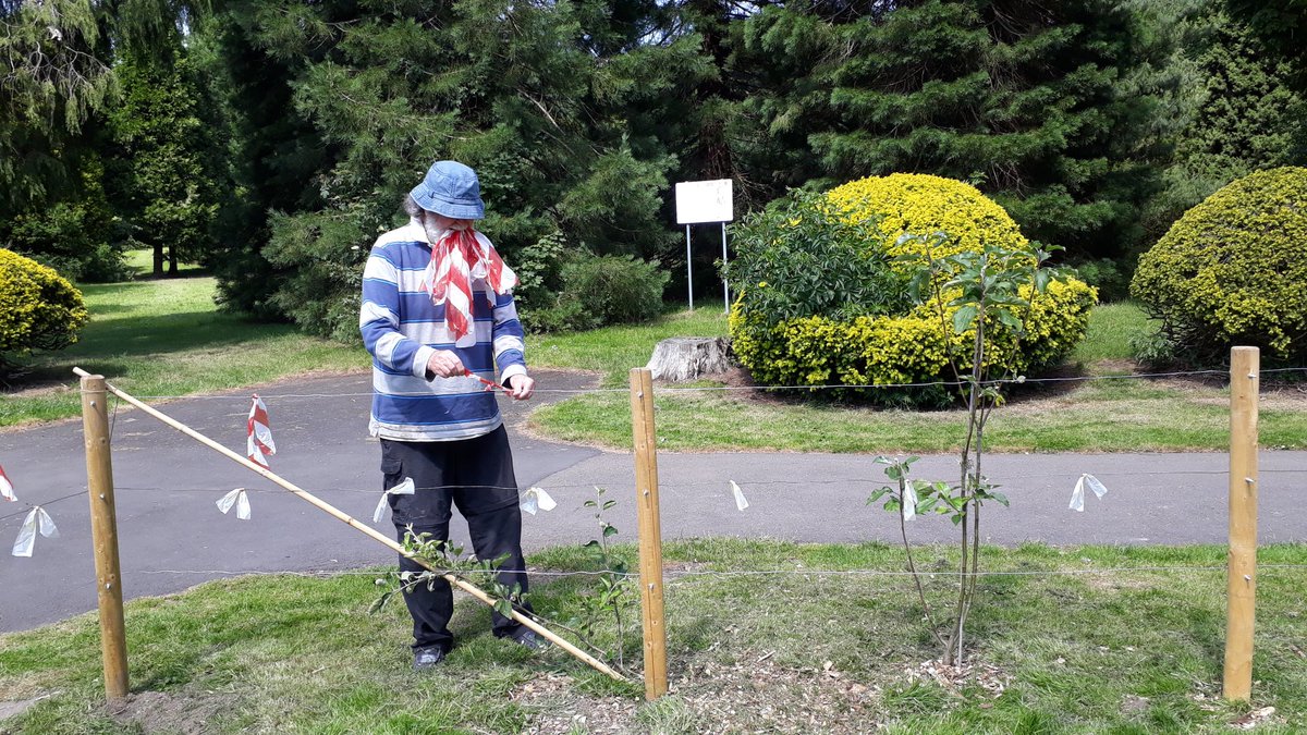 Let's Grow Together tweet media