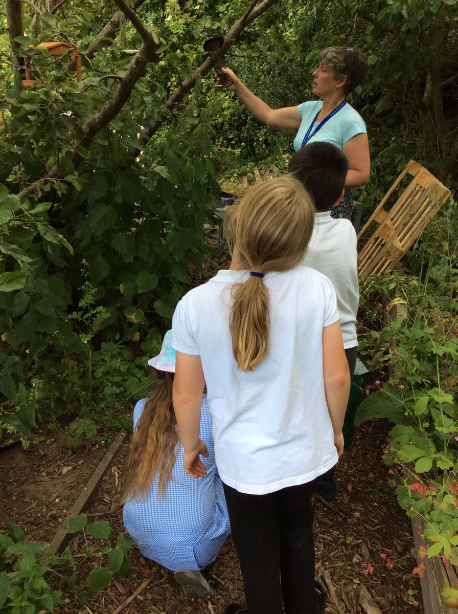 TH_AfterSchoolC's tweet photo. In Magpies this afternoon we’ve been watering and picking some delicious strawberries! 🍓🍓🍓 #THCREW https://t.co/vo7k8sZqpa