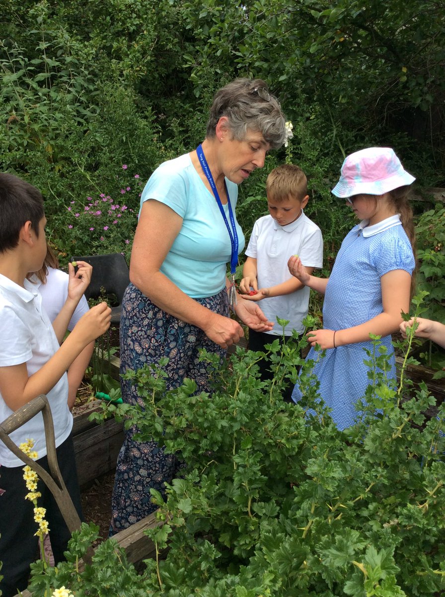 TH_AfterSchoolC's tweet photo. The Magpie gang are trying some fresh (slightly sour) gooseberries! #THCREW https://t.co/Z0NlAo6ggW