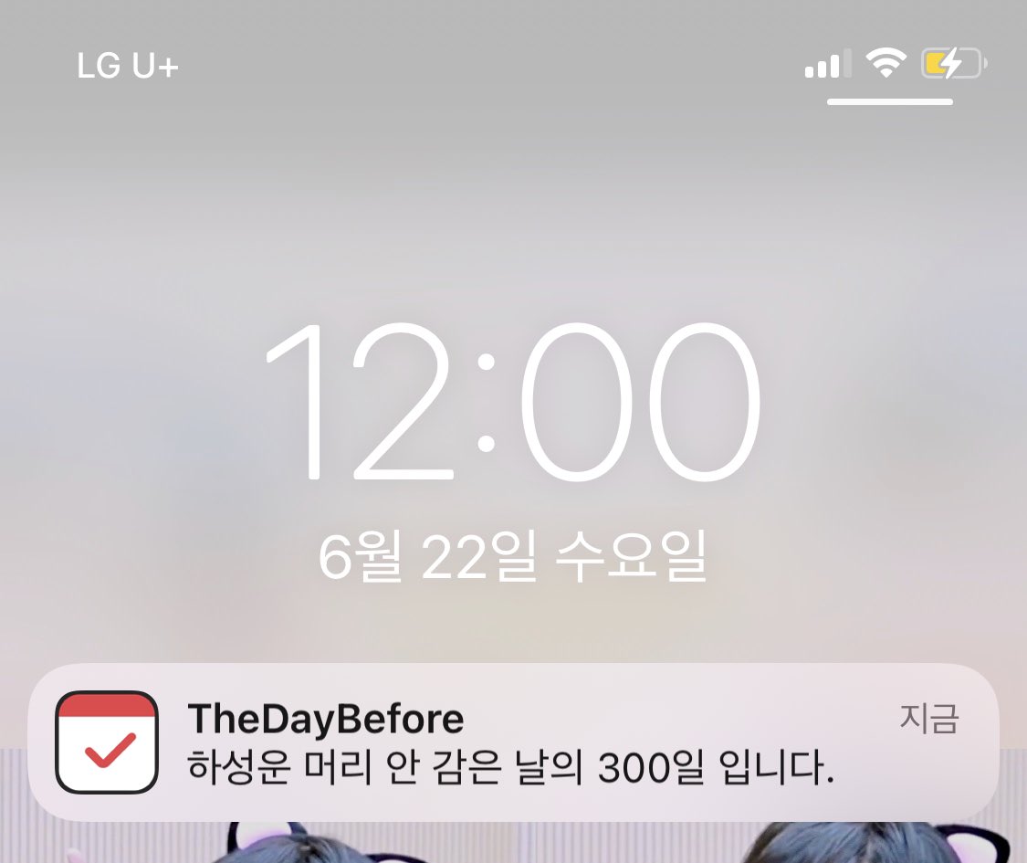 ☁️선물☁️ tweet media