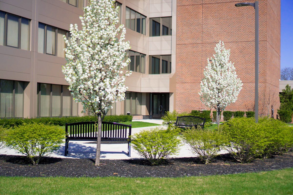 andersonoffices photo