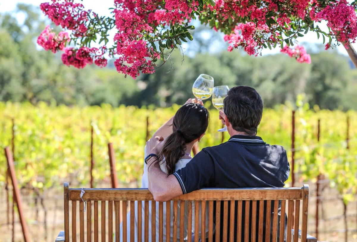 Cheers to the first day of #summer!

Planning your perfect itinerary? Head over to <a href="/sonomacounty/">SonomaCounty</a> for recommendations on Sonoma wineries and activities to make the most of your stay.

#FairmontSonoma #WineCountry #Sonoma #Vacation #LifeOpensUp