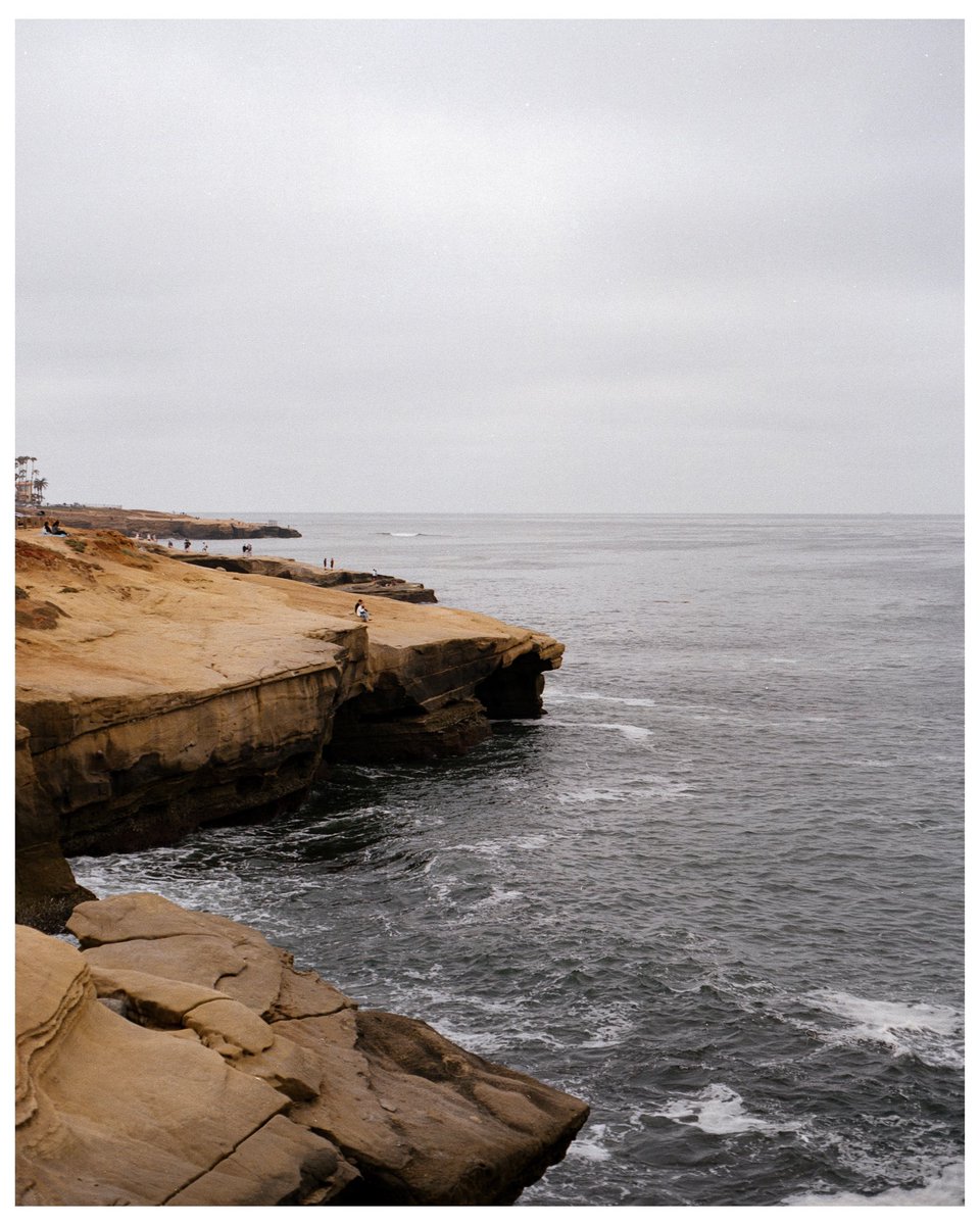 Shotby_dp's tweet photo. Some frames from my first roll of 120 film 🎞 shot on Mamiya 645 1000s//kodakgold200 https://t.co/HZRp0MDo7a