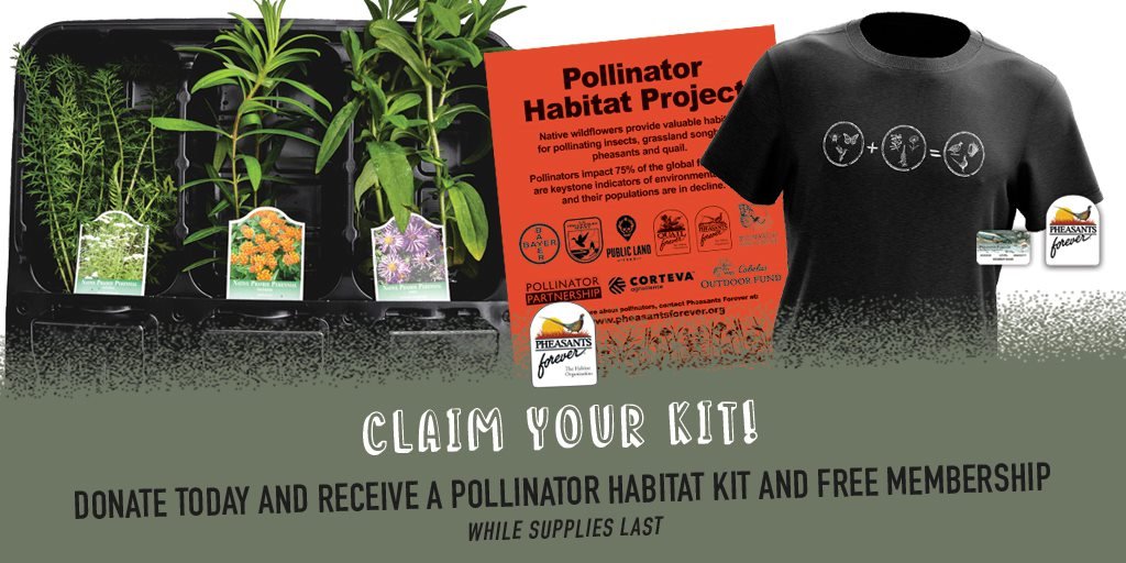 During Pollinator Week only, join PF for $35 to receive a yearly membership, pollinator kit, project sign, and a <a href="/PublicLandTees/">Public Land Tees</a> shirt! Remember, healthy pollinator habitat is great bird habitat! bit.ly/3NdropM <a href="/corteva/">Corteva Agriscience</a> <a href="/USFWS/">U.S. Fish and Wildlife Service</a> <a href="/Bayer/">Bayer AG</a> <a href="/MonarchsJV/">MonarchJointVenture</a> <a href="/BassProShops/">Bass Pro Shops</a> <a href="/Cabelas/">Cabela's</a>