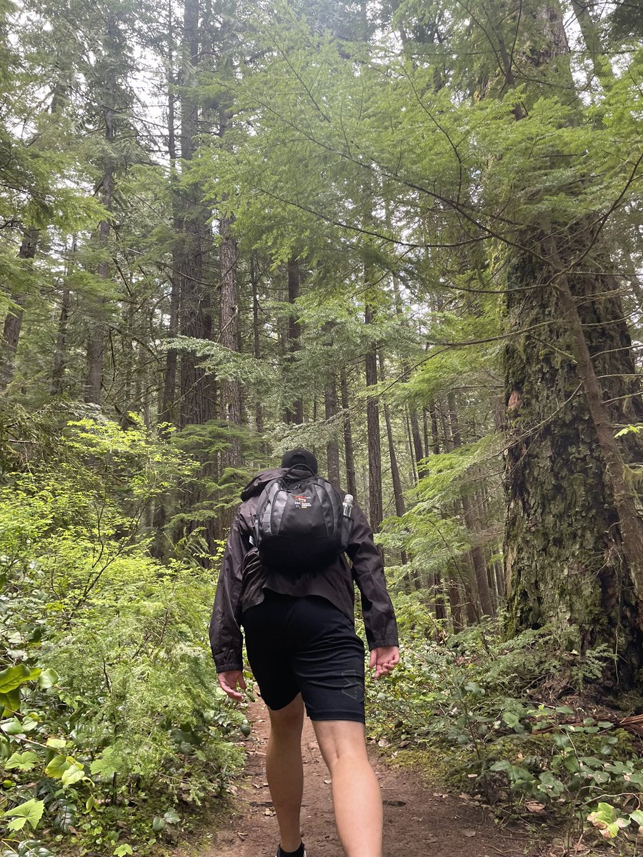 calibenton's tweet photo. Falls Creek Falls, Washington

May 2022 https://t.co/yRZBt8ivNO