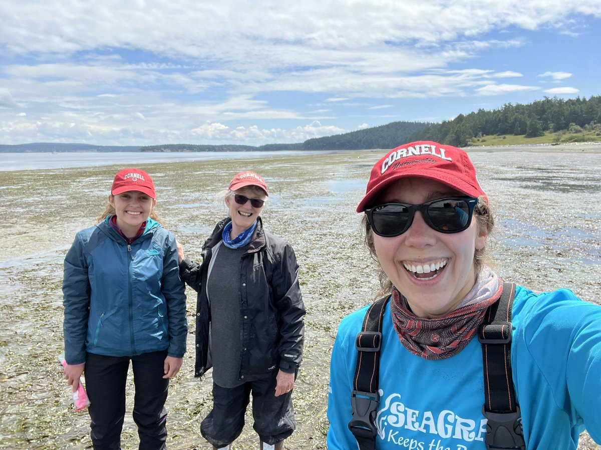 o_jgraham's tweet photo. Out studying #seagrass disease during last week’s crazy low king tides 🌊🌱

Terrific @CornellEEB crew!

@MarineBiol_FHL @CornellCALS https://t.co/WJDMCeeevK