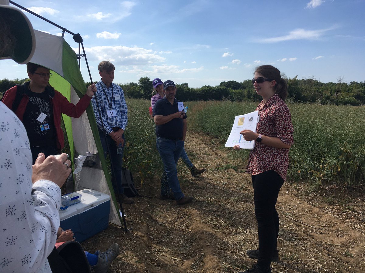OilseedRachel's tweet photo. @LucyInTheLab talking about #CSFB research @JohnInnesCentre Breeder’s Day https://t.co/cotzO57At6