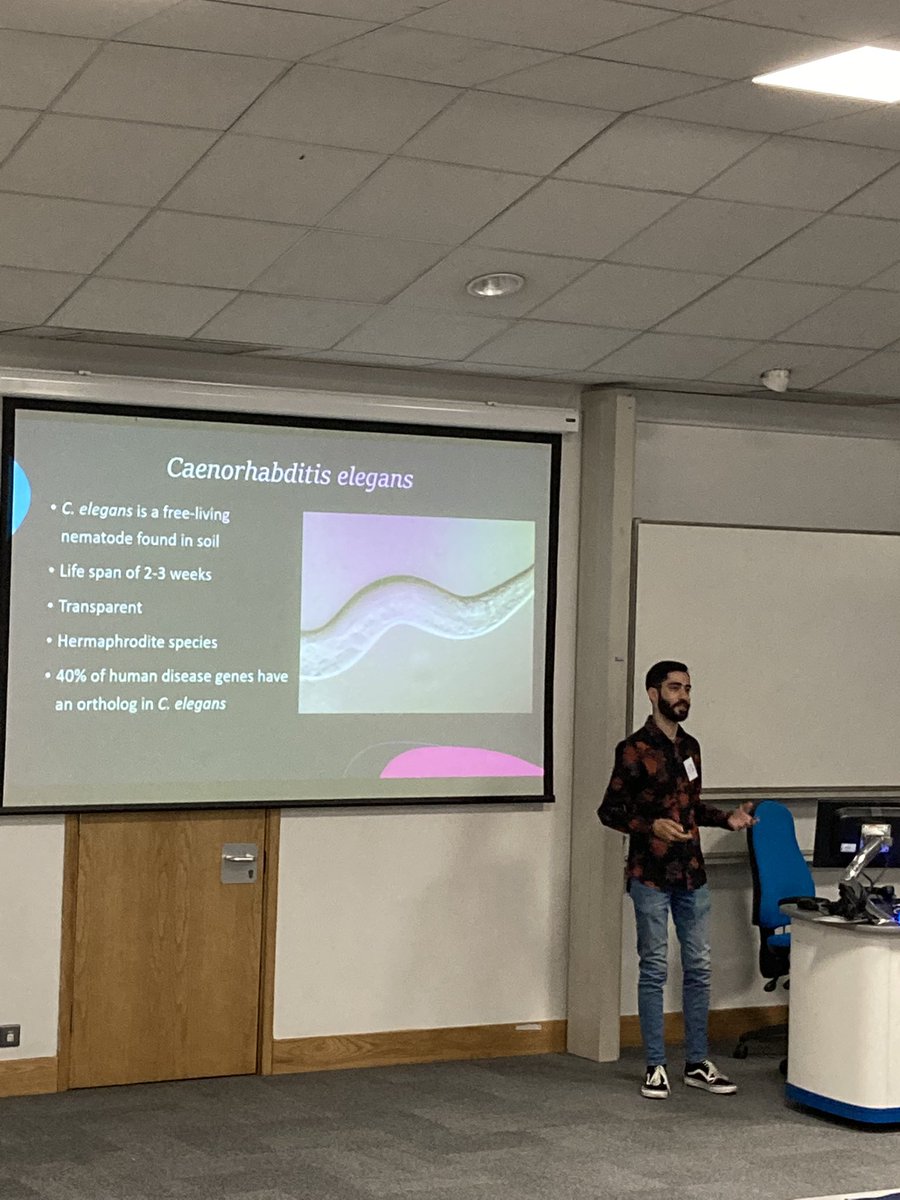 Dr Maria Dimitriadi tweet media