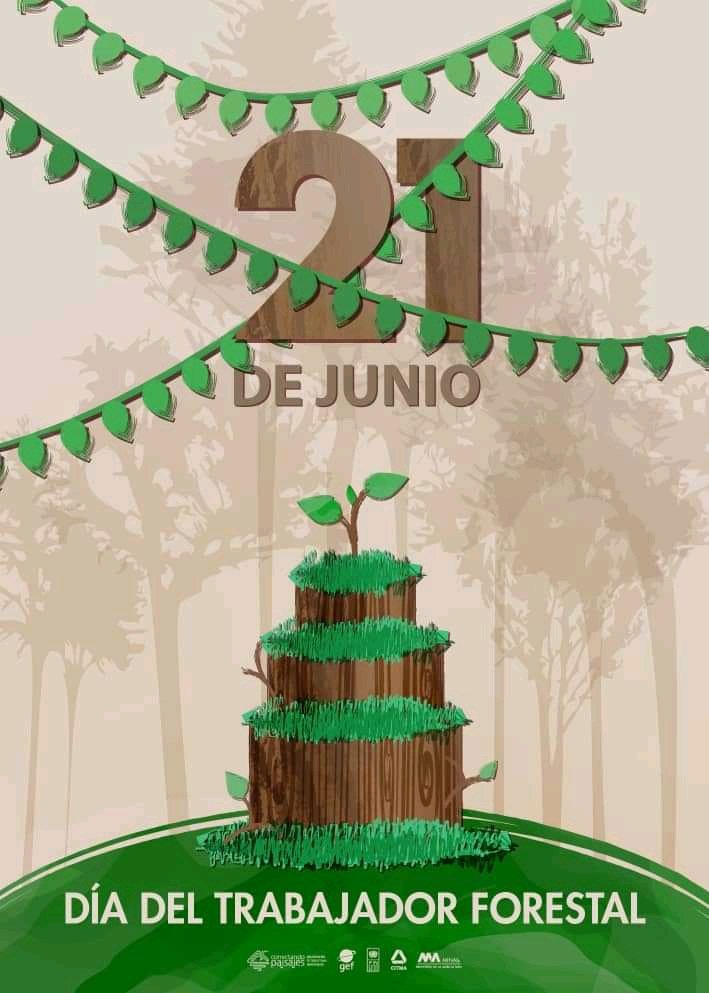 #Hoy es el #DíaDelTrabajadorForestal quienes desempeñan un rol fundamental en la protección y conservación de los bosques y la vida silvestre. El colectivo de trabajadores del <a href="/jblastunas/">Jardin Botanico Las Tunas</a> envía a todos muchas felicidades.